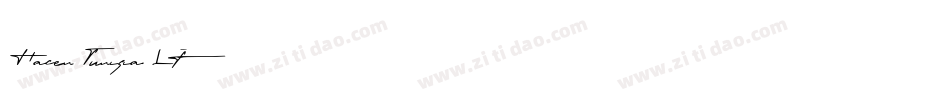 Hacen Tunisia Lt字体转换
